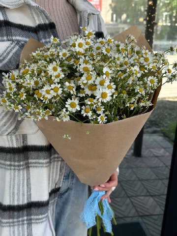 Букет из ромашек &laquo;Летняя поляна&raquo; от интернет-магазина цветов в 